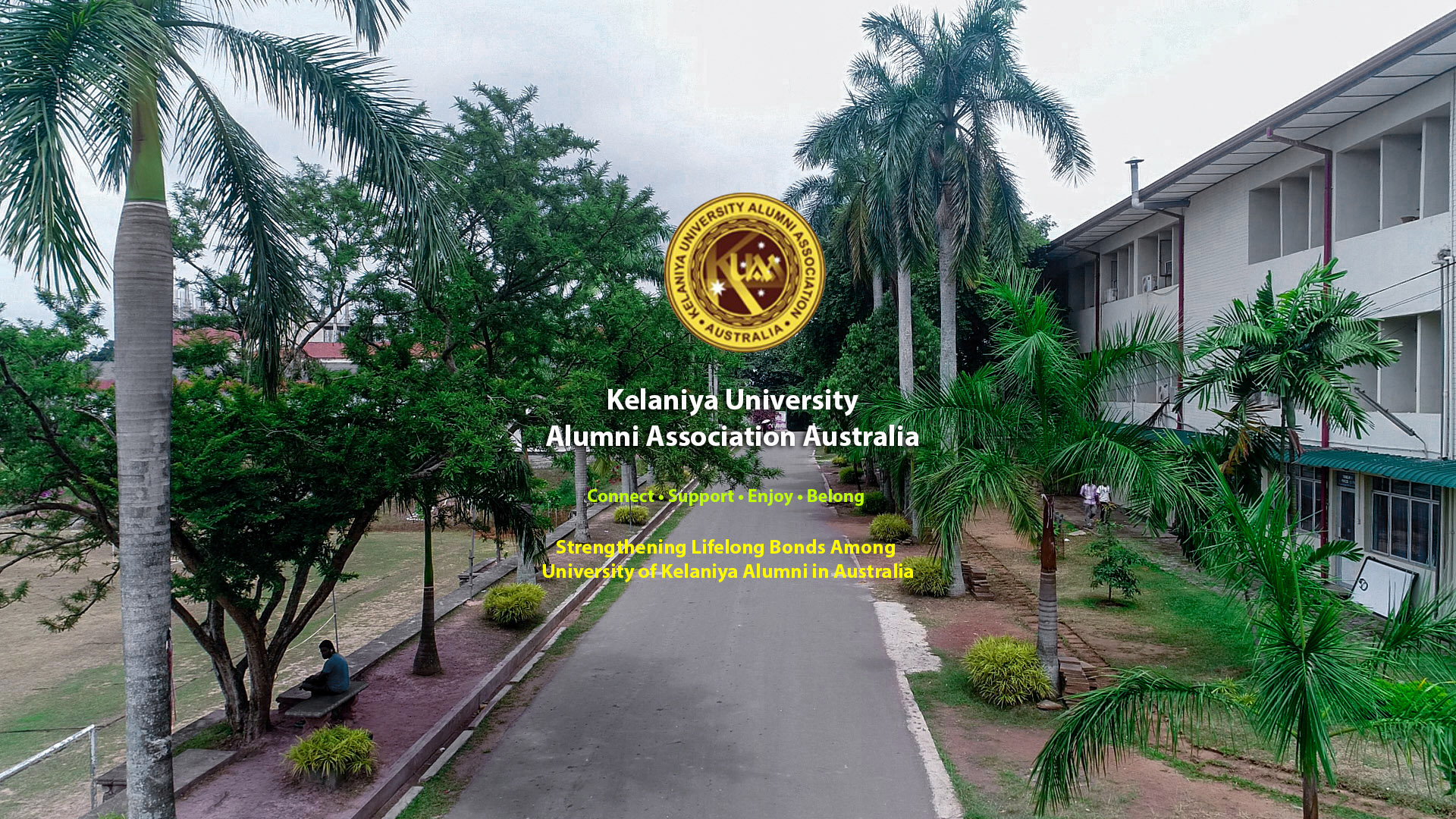 University of Kelaniya campus avenue